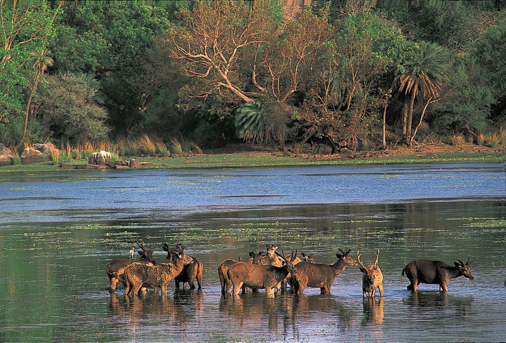 The Oberoi Vanyavilas Wildlife Resort, Ranthambhore Sawai Madhopur Exterior photo